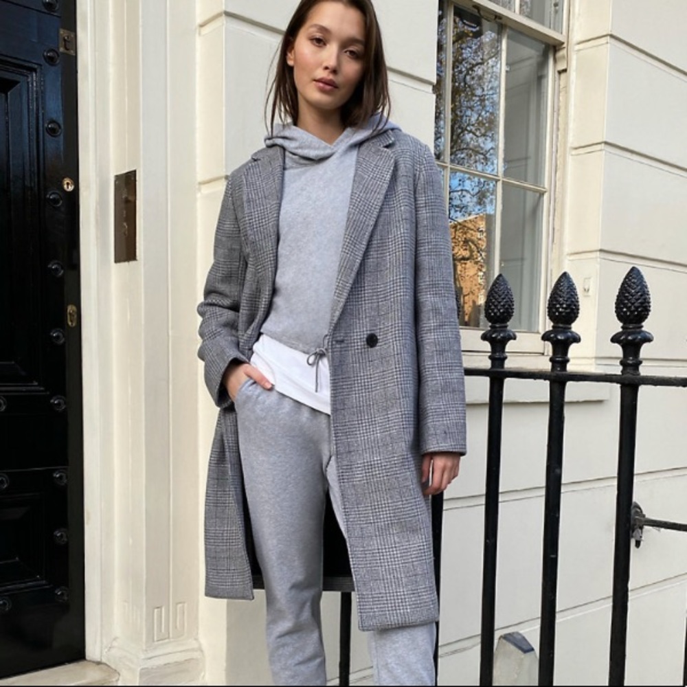 Aritzia Babaton Stedman Coat